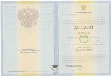 Диплом МСИ 2010-2011 годов